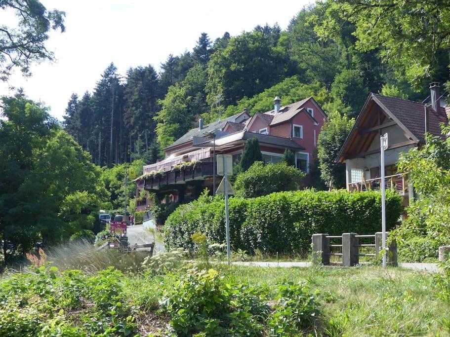 Appartement Entier Dans Un Ecrin De Verdure Thann Eksteriør billede