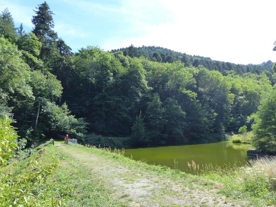 Appartement Entier Dans Un Ecrin De Verdure Thann Eksteriør billede